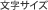 文字サイズ